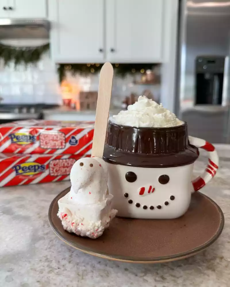 PEEPS® Candy Cane Hot Cocoa Spoons